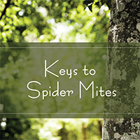 Keys to Spider Mites Texas A&M Forest Service Podcast Hosted by Paul Johnson